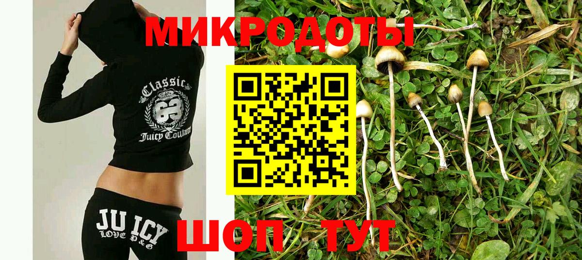 Галлюциногенные грибы GOLDEN TEACHER  Псилоцибиновые грибы Cubensis  Гай  где можно купить наркотик  Вход с VPN 