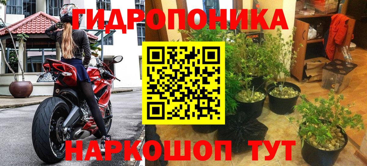 Марихуана Ganja  Канабис LSD WEED  Гай  Вход с VPN  МАРИХУАНА LSD WEED  Каннабис план 